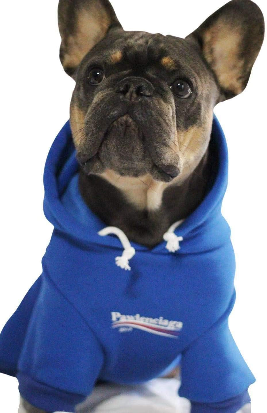 Stylish Blue Dog Sweatshirt Tracksuit and Cat Hoodie for Small to Medium Pets (XL)